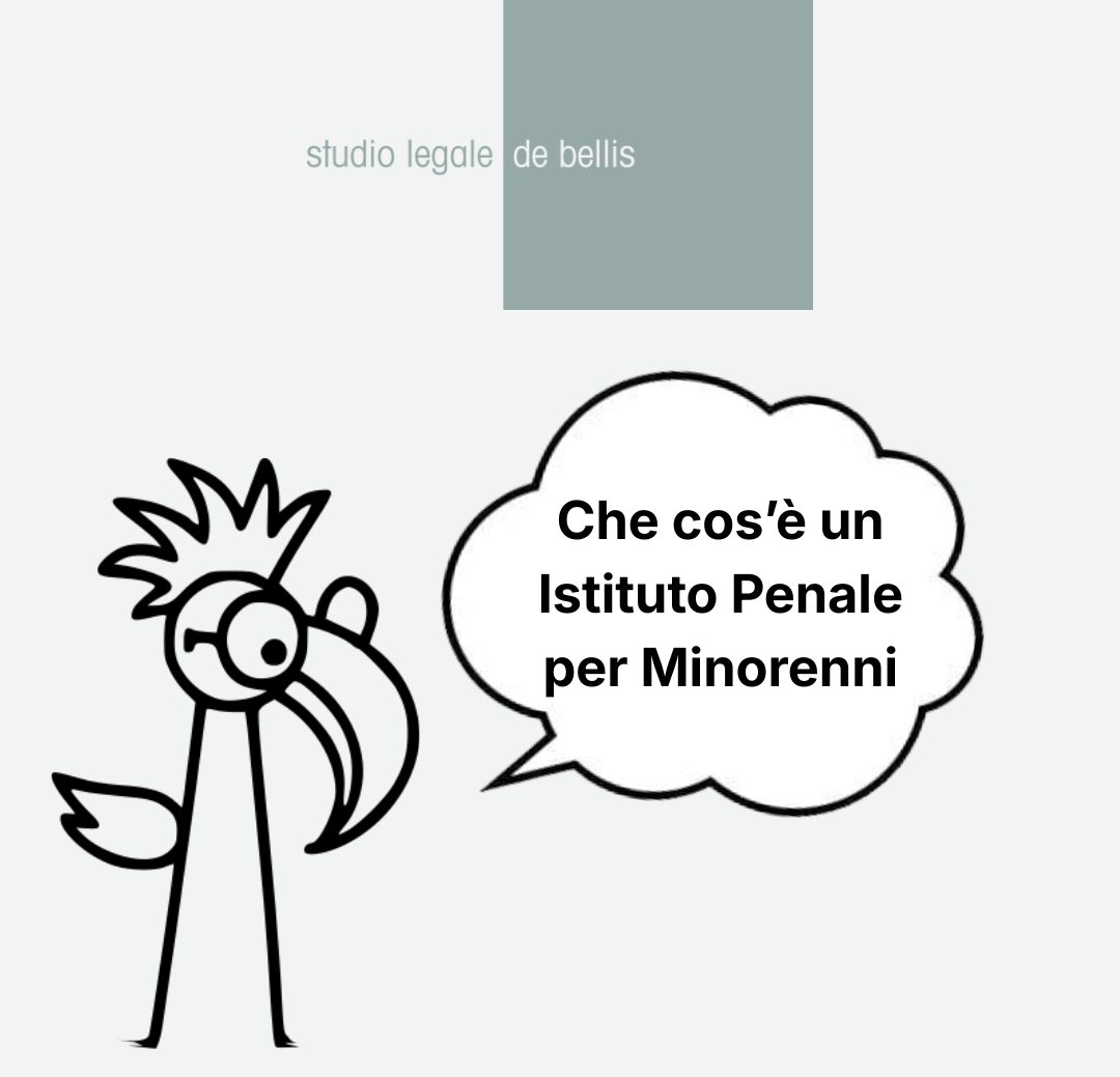 Istituto Penale per Minorenni